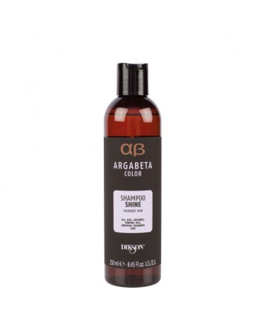 Dikson Argabeta Color Shine Szampon 250 ml - Szampon rozświetlający do włosów farbowanych